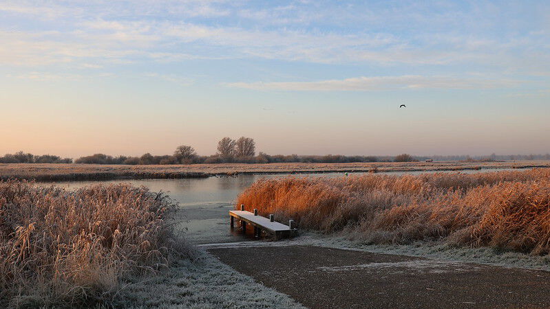 Top 5 losloopgebieden Friesland welkoop